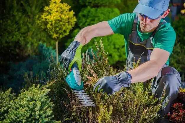 landscaping services Clare